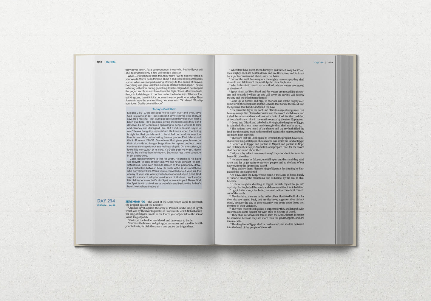 TBR 365-Day Chron Study Bible KJV - Hardcover