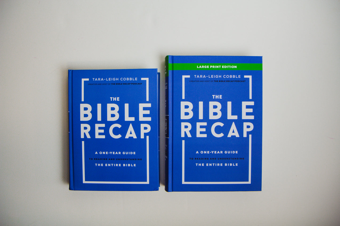 The Bible Recap: Large Print Edition