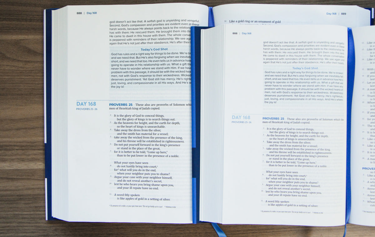 TBR 365-Day Chron Study Bible ESV - Large Print - Hardcover