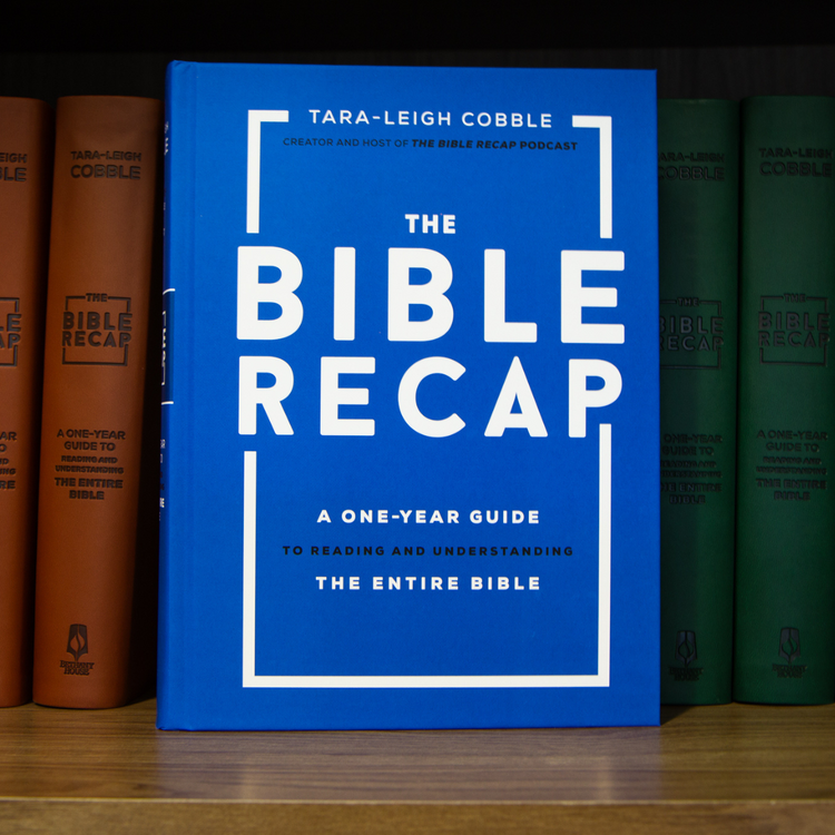 Books – The Bible Recap