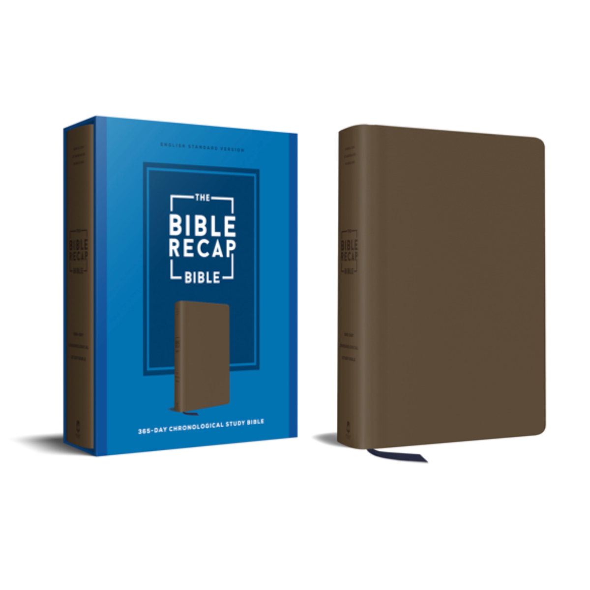 The Bible Recap 365-Day Chronological Study Bible - Brown