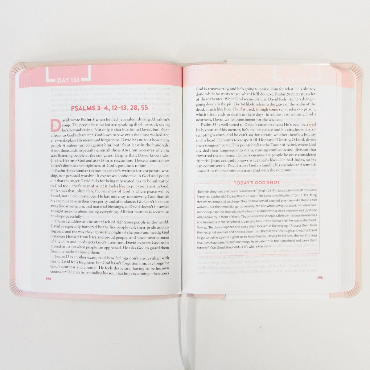 The Bible Recap: Personal Size - Pink