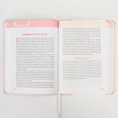 The Bible Recap: Personal Size - Pink