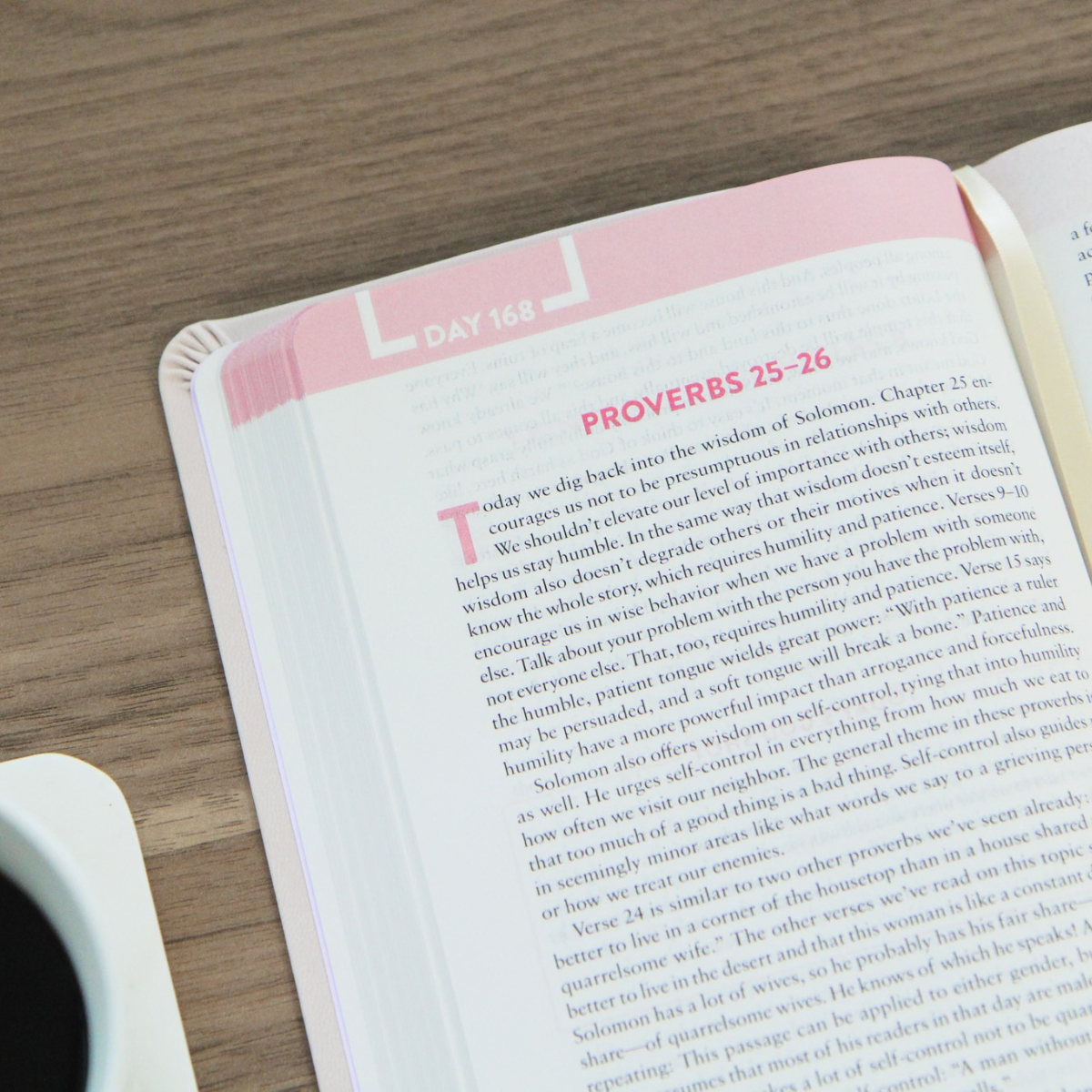 The Bible Recap: Personal Size - Pink