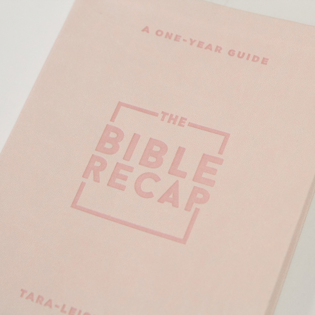 The Bible Recap: Personal Size - Pink