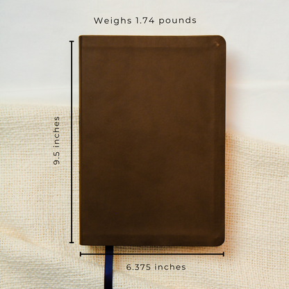 The Bible Recap 365-Day Chronological Study Bible - Brown Vegan Leather Softcover