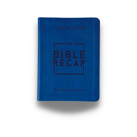 The Bible Recap: Personal Size