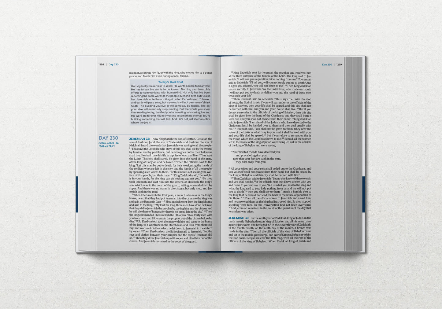 TBR 365-Day Chron Study Bible ESV - Large Print - Hardcover