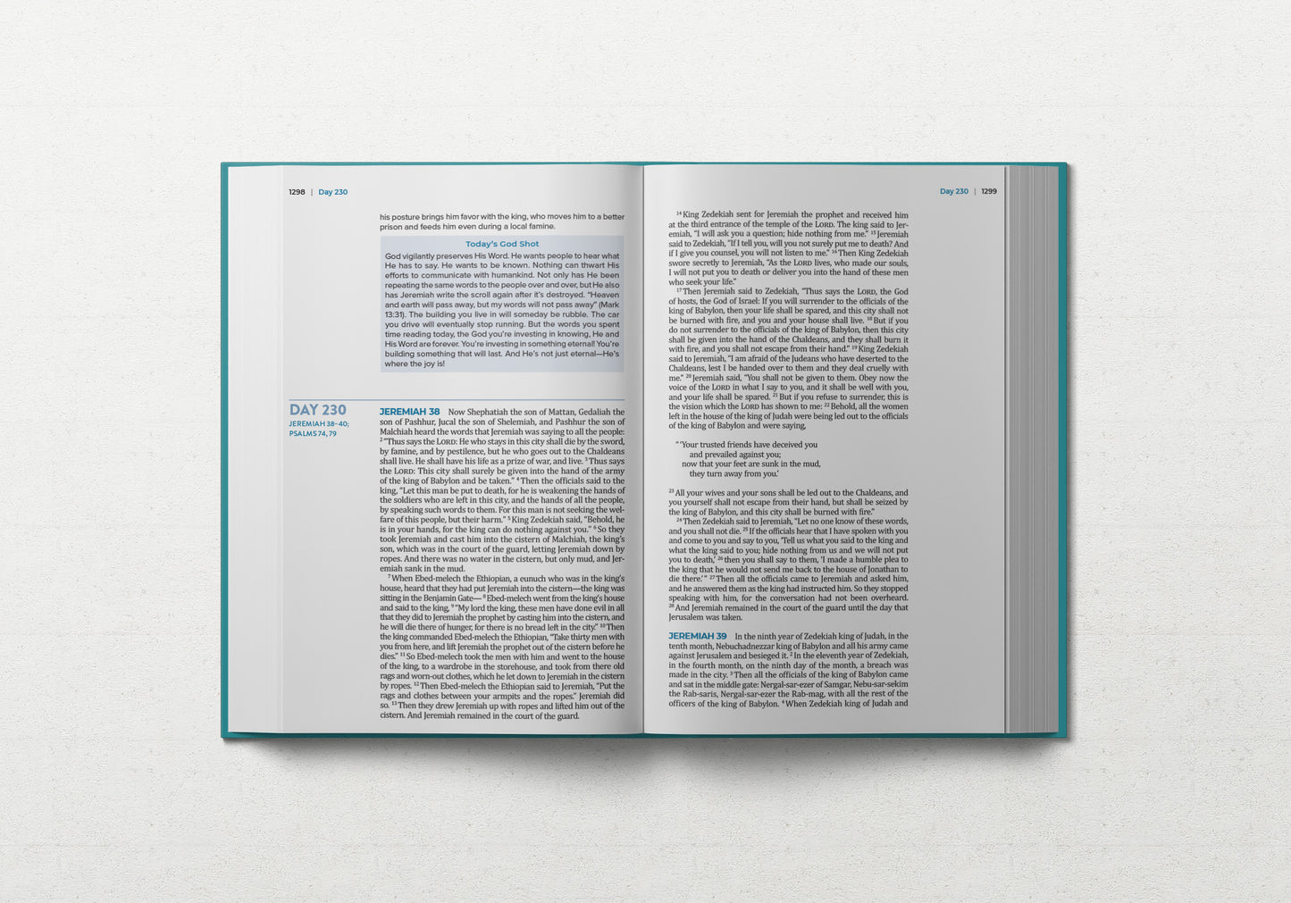 TBR 365-Day Chron Study Bible ESV - Large Print - Teal Vegan Leather