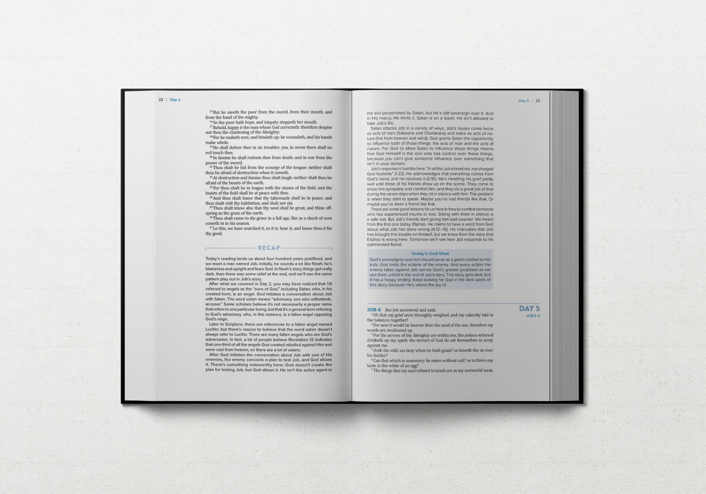 TBR 365-Day Chron Study Bible KJV - Black Vegan Leather