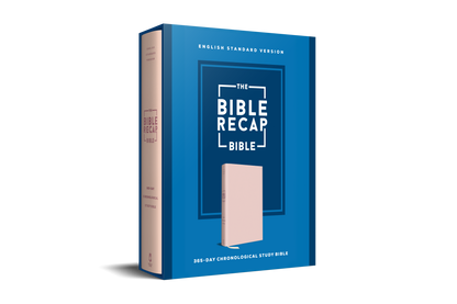 The Bible Recap 365-Day Chronological Study Bible - Pink Vegan Leather Hardcover