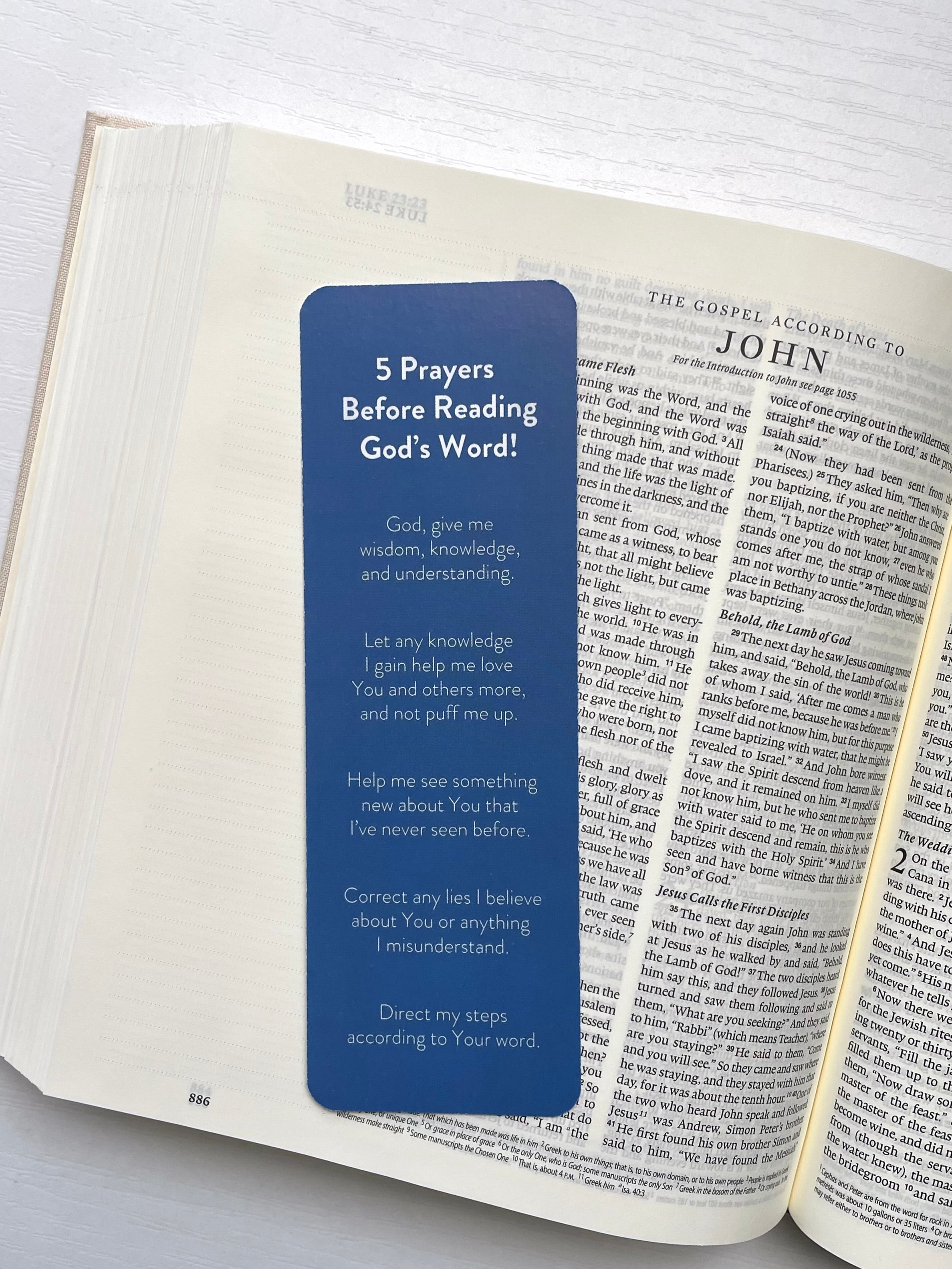 The Bible Recap Study Guide the-bible-recap-study-guide