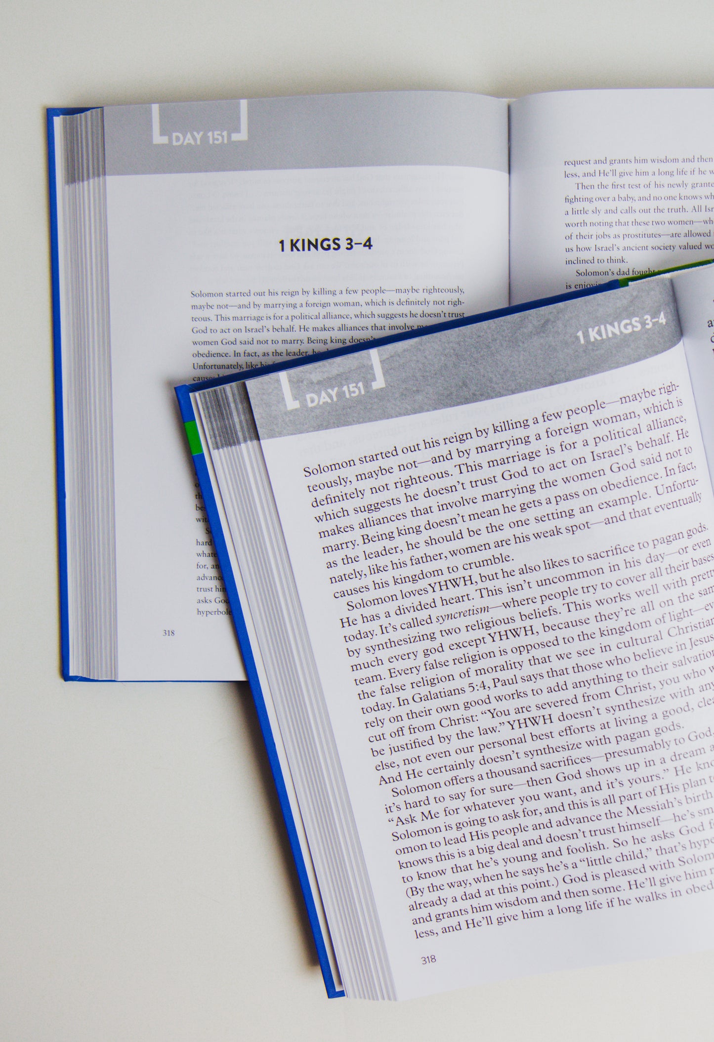 The Bible Recap: Large Print Edition