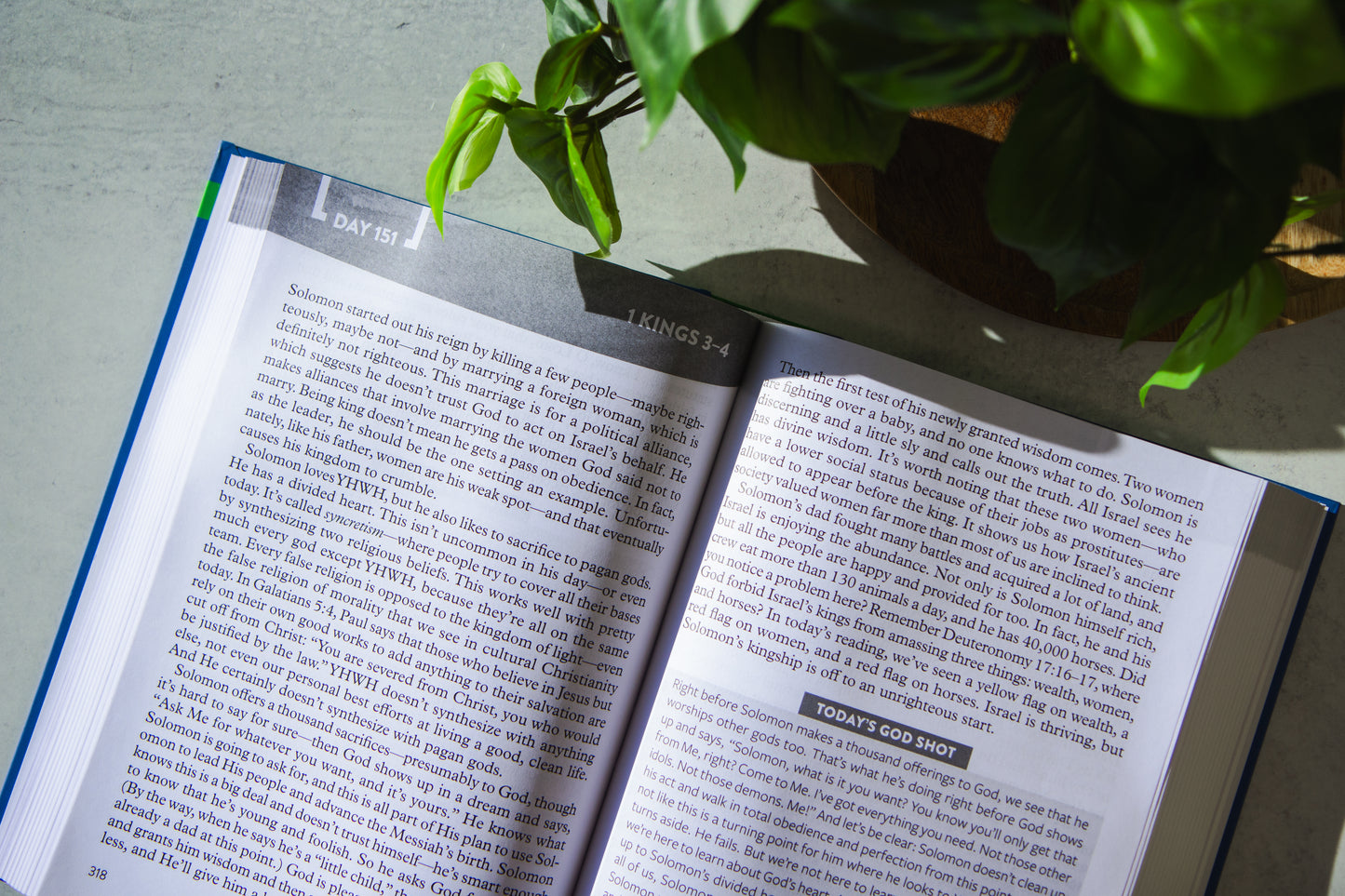 The Bible Recap: Large Print Edition