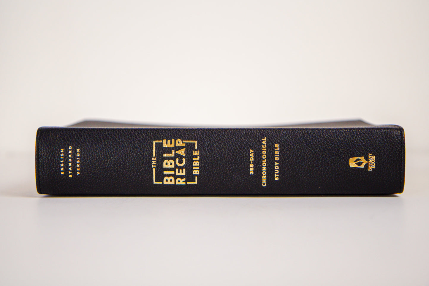 The Bible Recap 365-Day Chronological Study Bible - Genuine Black Leather
