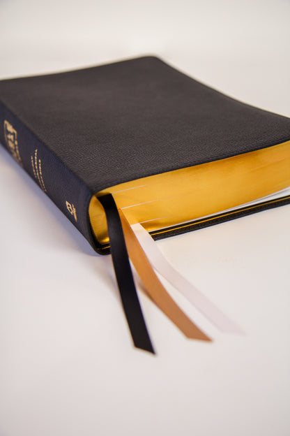 The Bible Recap 365-Day Chronological Study Bible - Genuine Black Leather