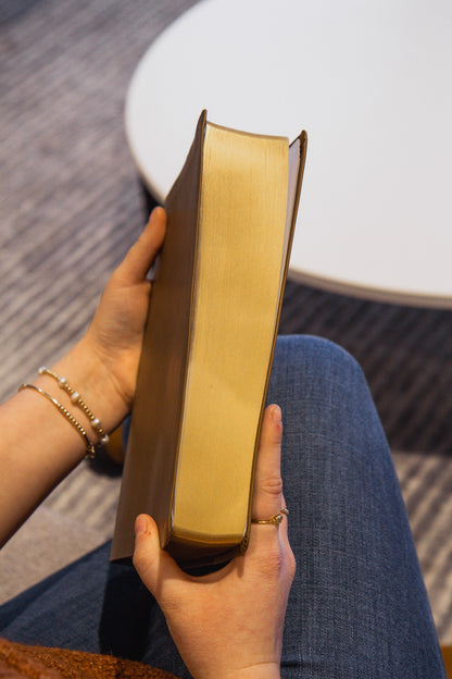 The Bible Recap 365-Day Chronological Study Bible - Brown Vegan Leather Softcover