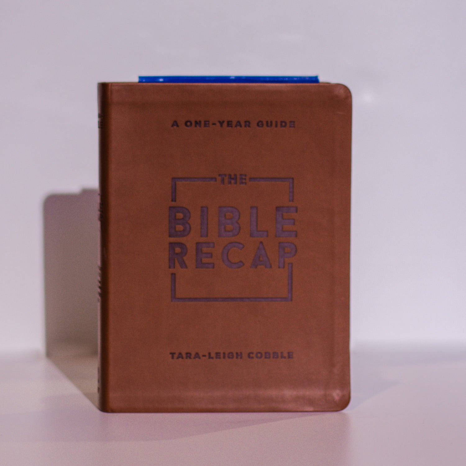 The Bible Recap Deluxe Edition The bible recap deluxe edition