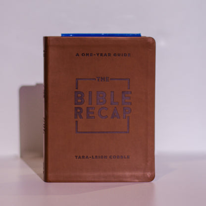 The Bible Recap: Deluxe Edition