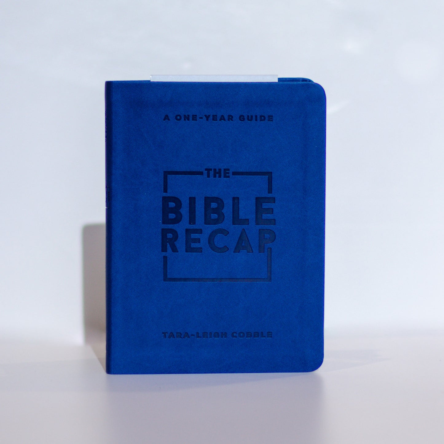 The Bible Recap: Personal Size