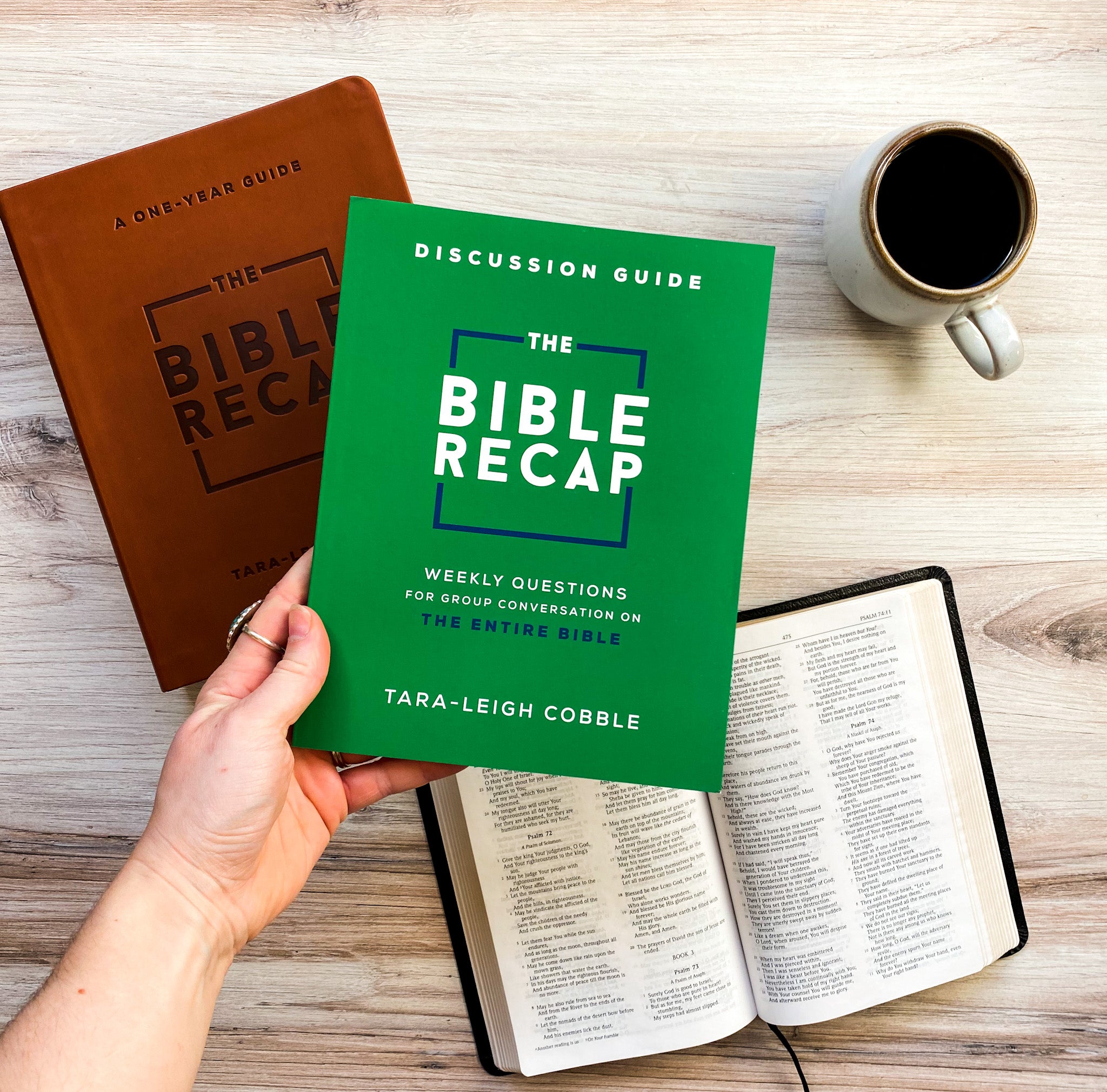 The Bible Recap: Discussion Guide