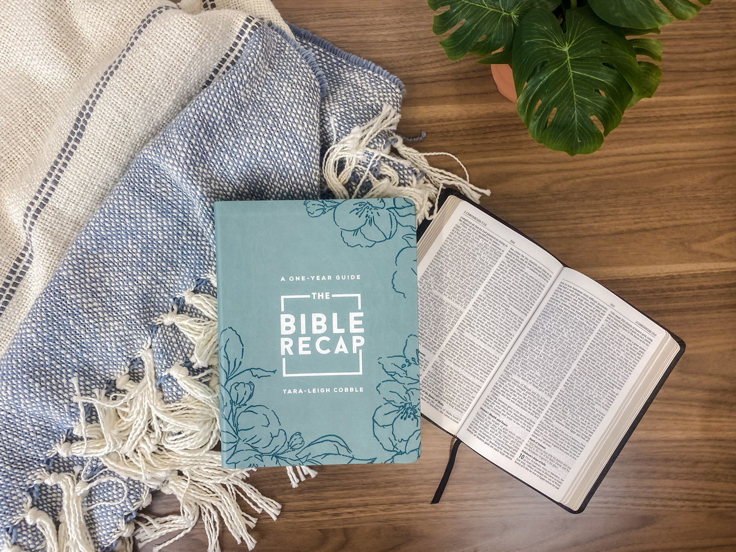 The Bible Recap: Sage