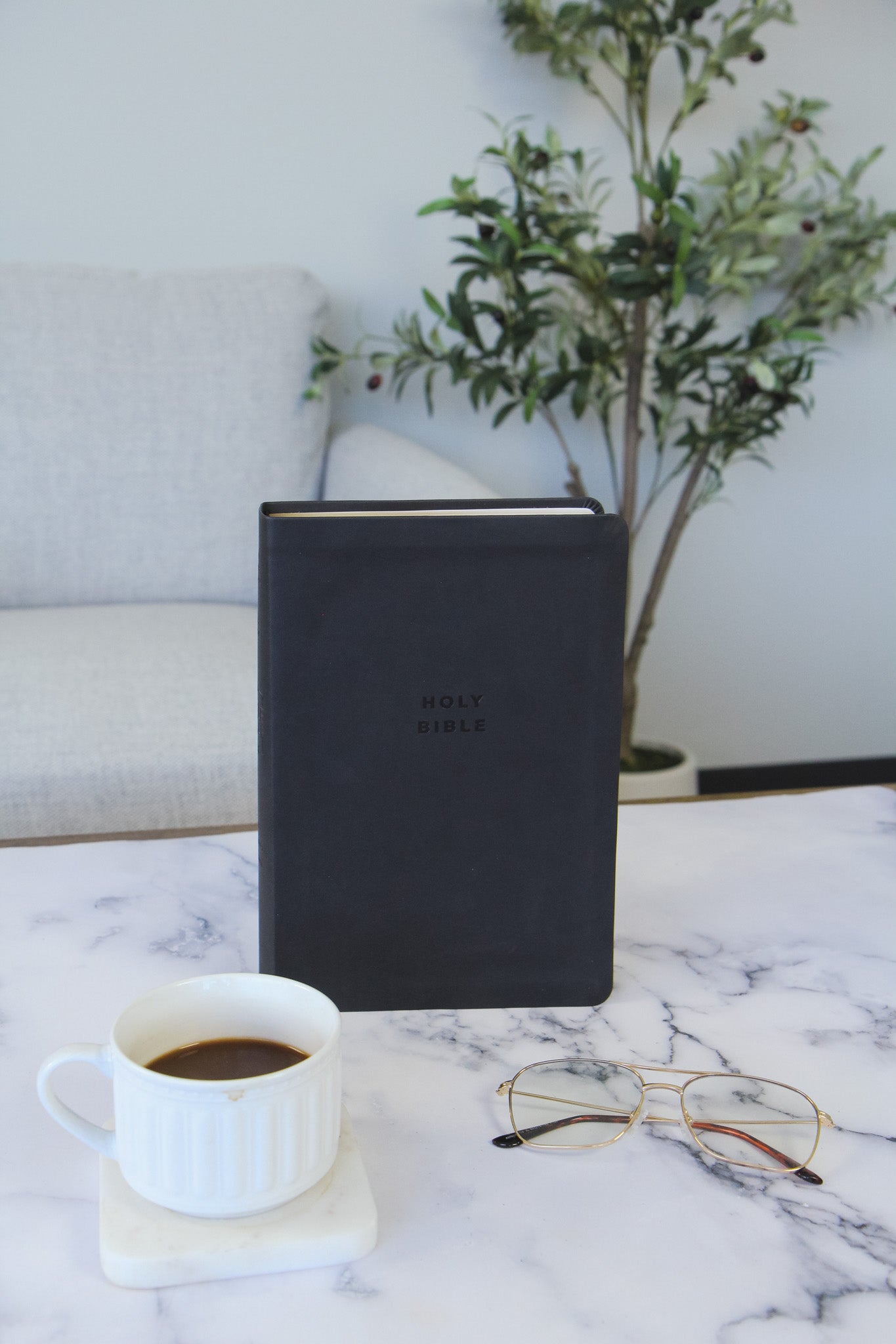 TBR 365-Day Chron Study Bible KJV - Black Vegan Leather