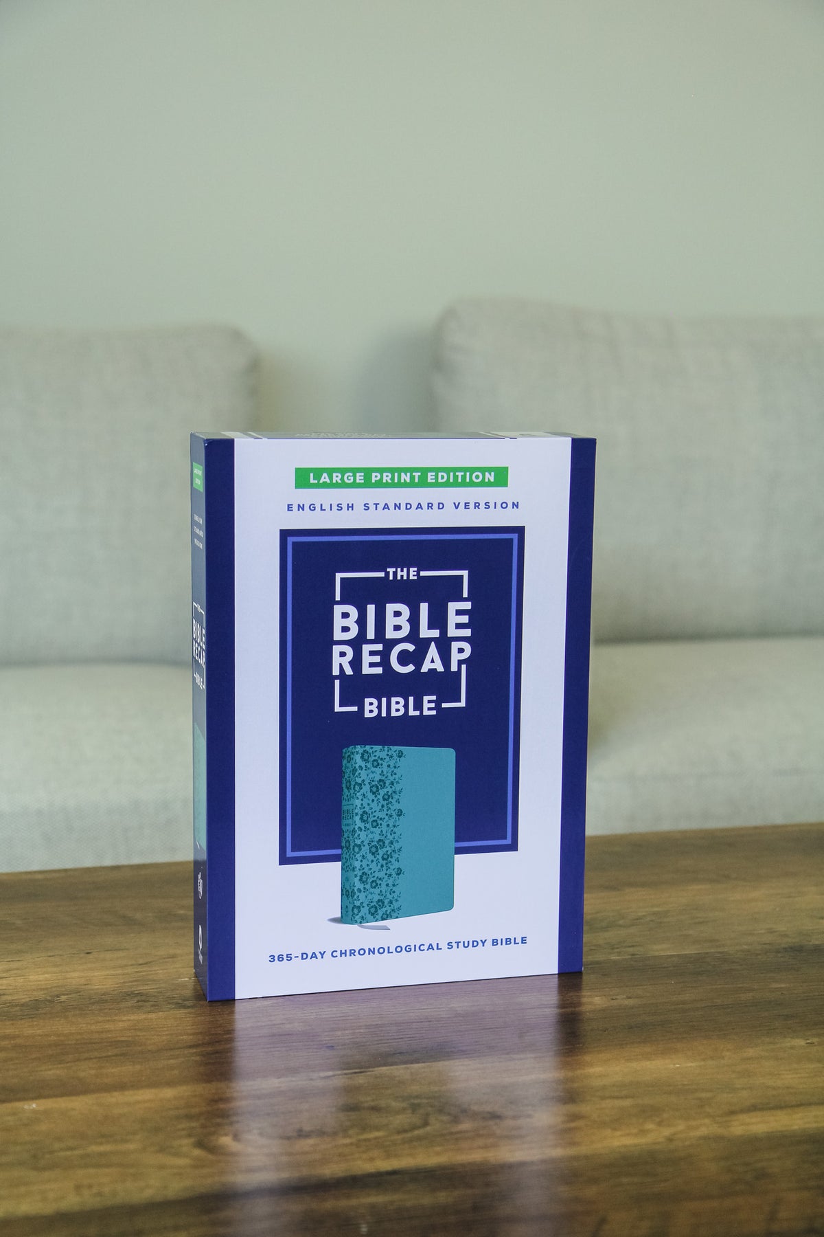 TBR 365-Day Chron Study Bible ESV - Large Print - Teal Vegan Leather