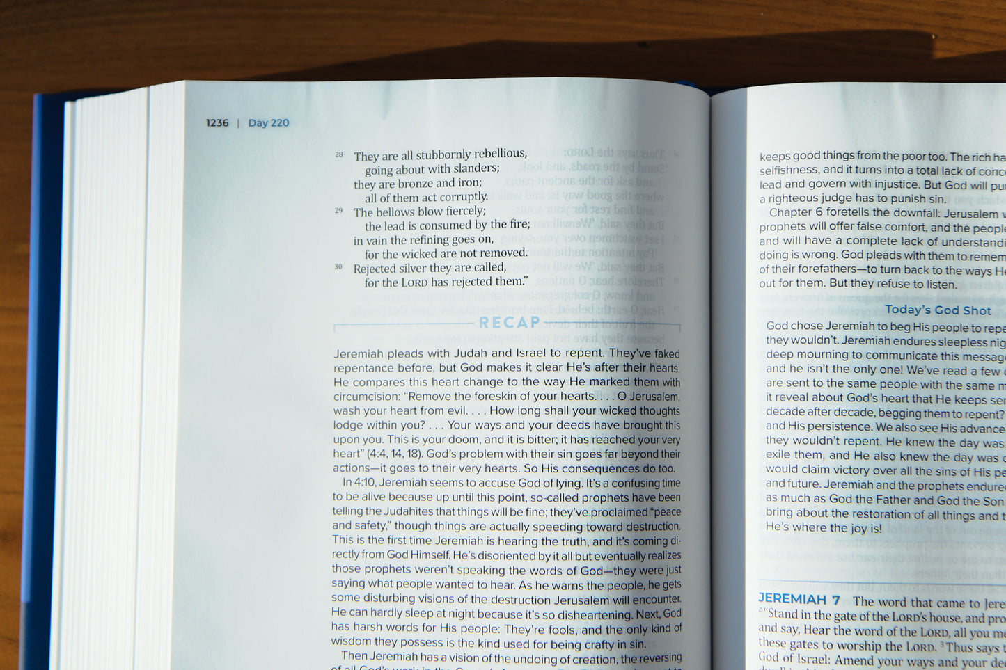 The Bible Recap 365-Day Chronological Study Bible - Hardcover