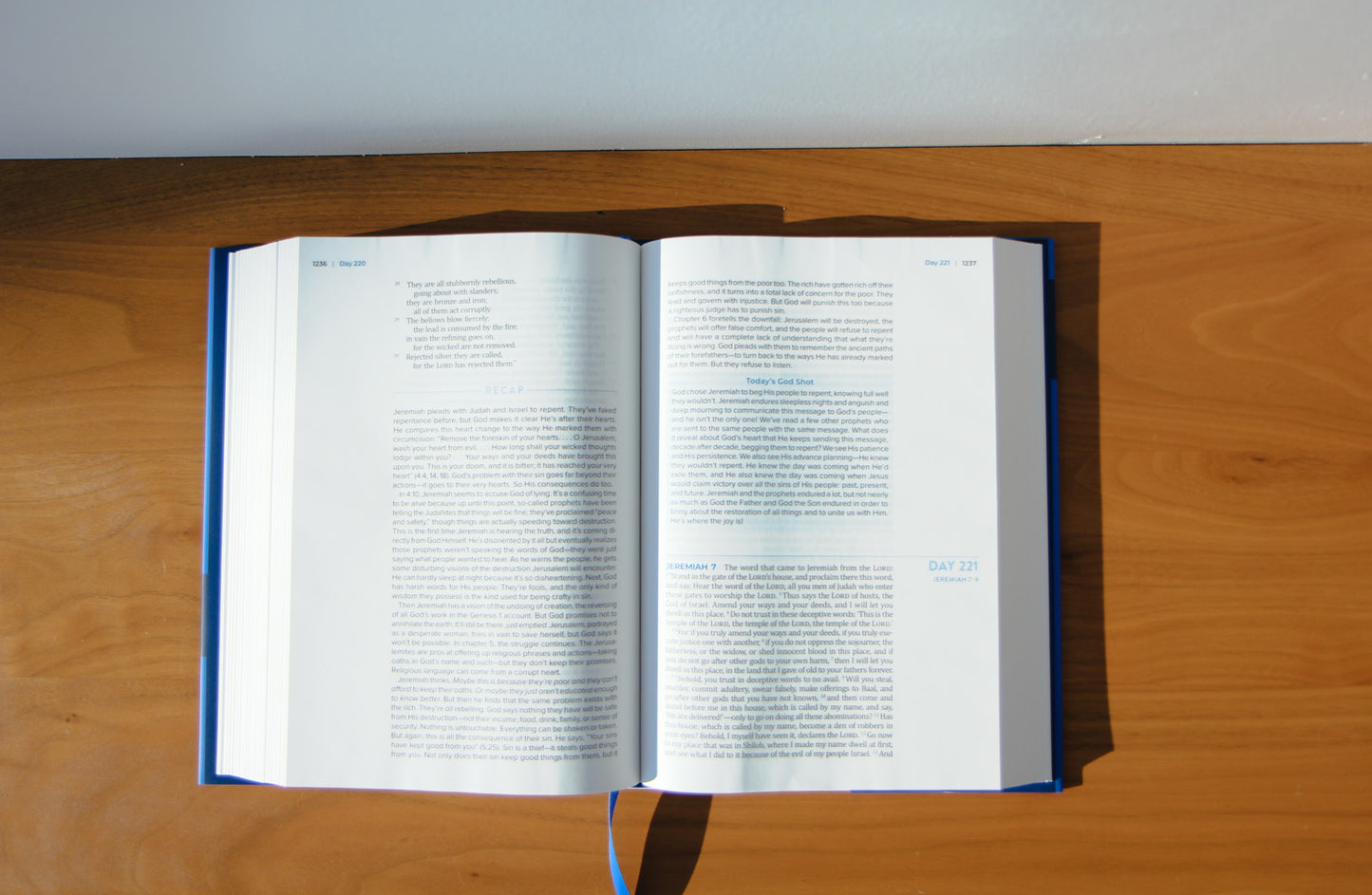 The Bible Recap 365-Day Chronological Study Bible - Hardcover