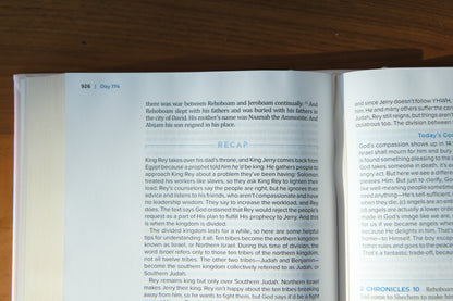 The Bible Recap 365-Day Chronological Study Bible - Pink Vegan Leather Hardcover