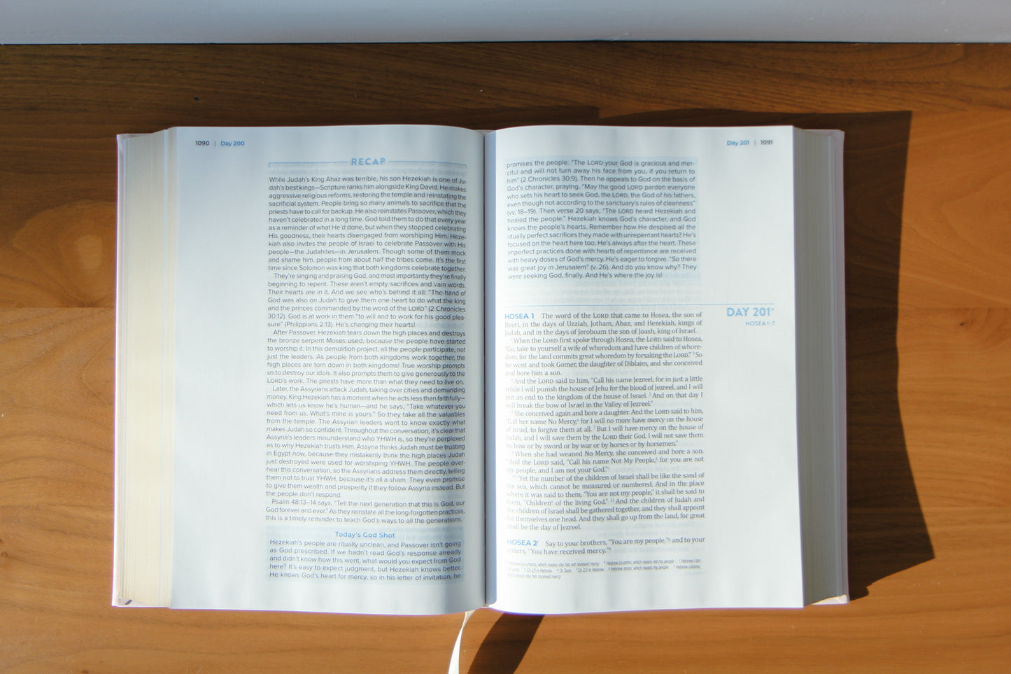 The Bible Recap 365-Day Chronological Study Bible - Pink Vegan Leather Hardcover