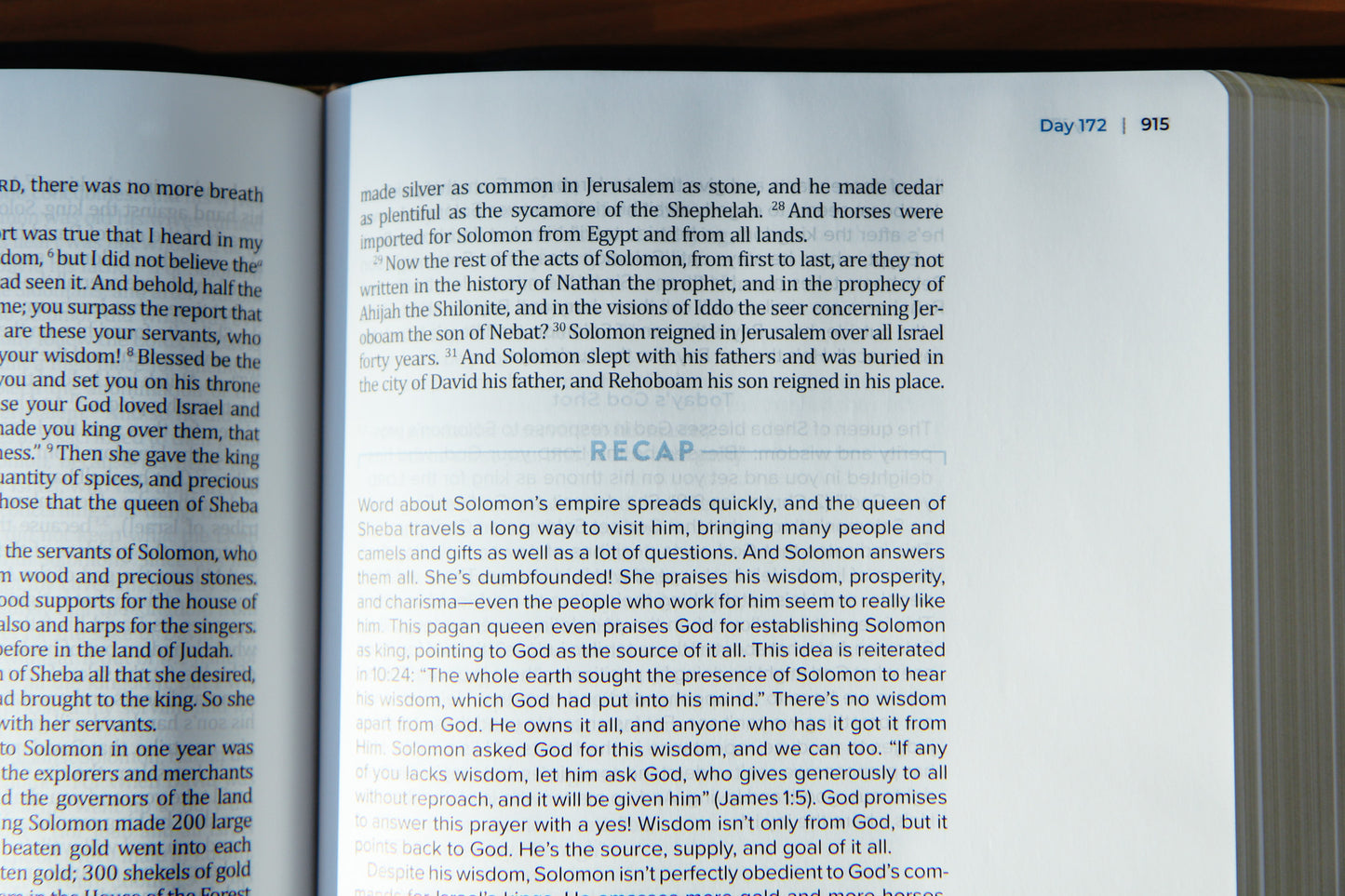 The Bible Recap 365-Day Chronological Study Bible - Genuine Black Leather