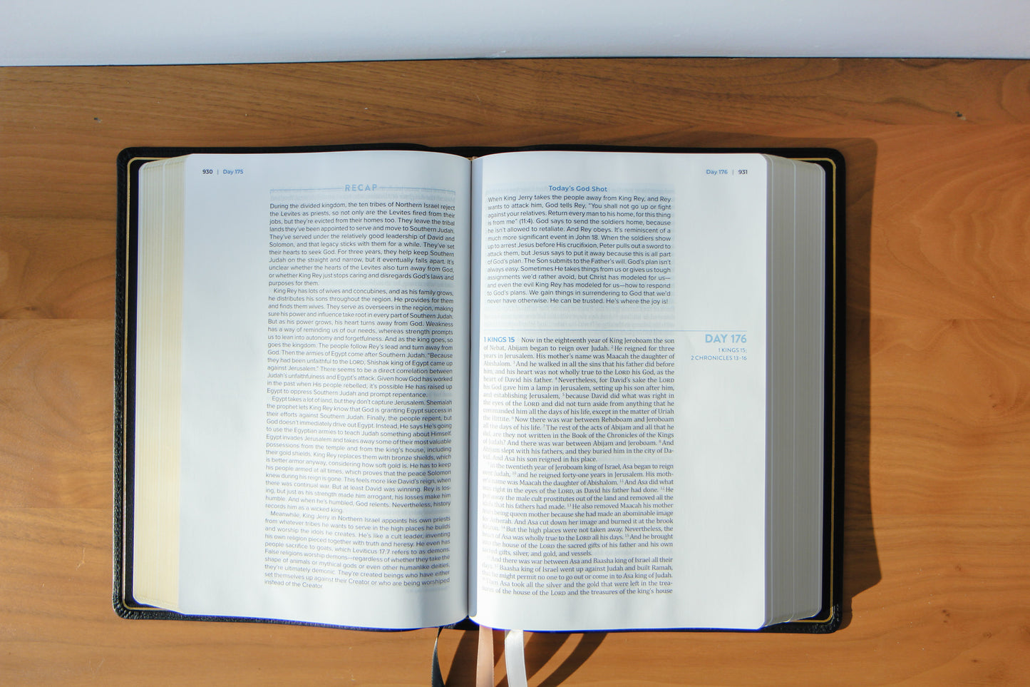 The Bible Recap 365-Day Chronological Study Bible - Genuine Black Leather