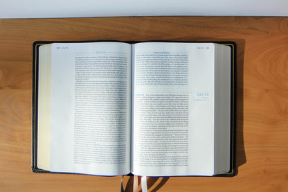The Bible Recap 365-Day Chronological Study Bible - Genuine Black Leather