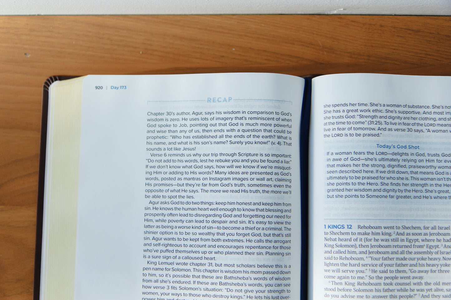 The Bible Recap 365-Day Chronological Study Bible - Brown Vegan Leather Softcover