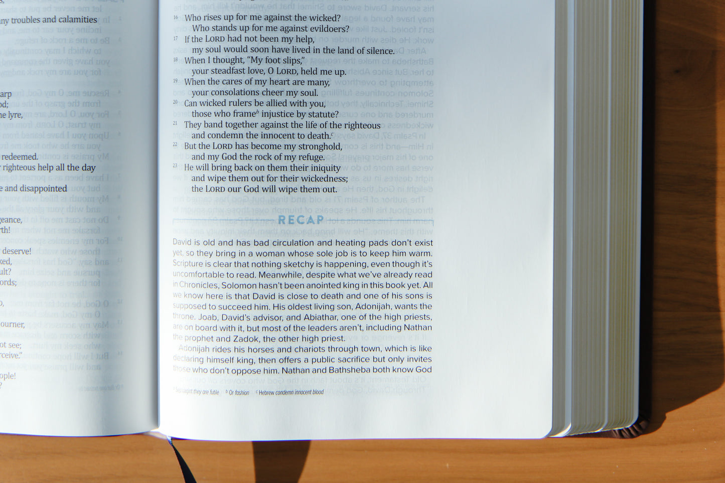 The Bible Recap 365-Day Chronological Study Bible - Brown Vegan Leather Softcover