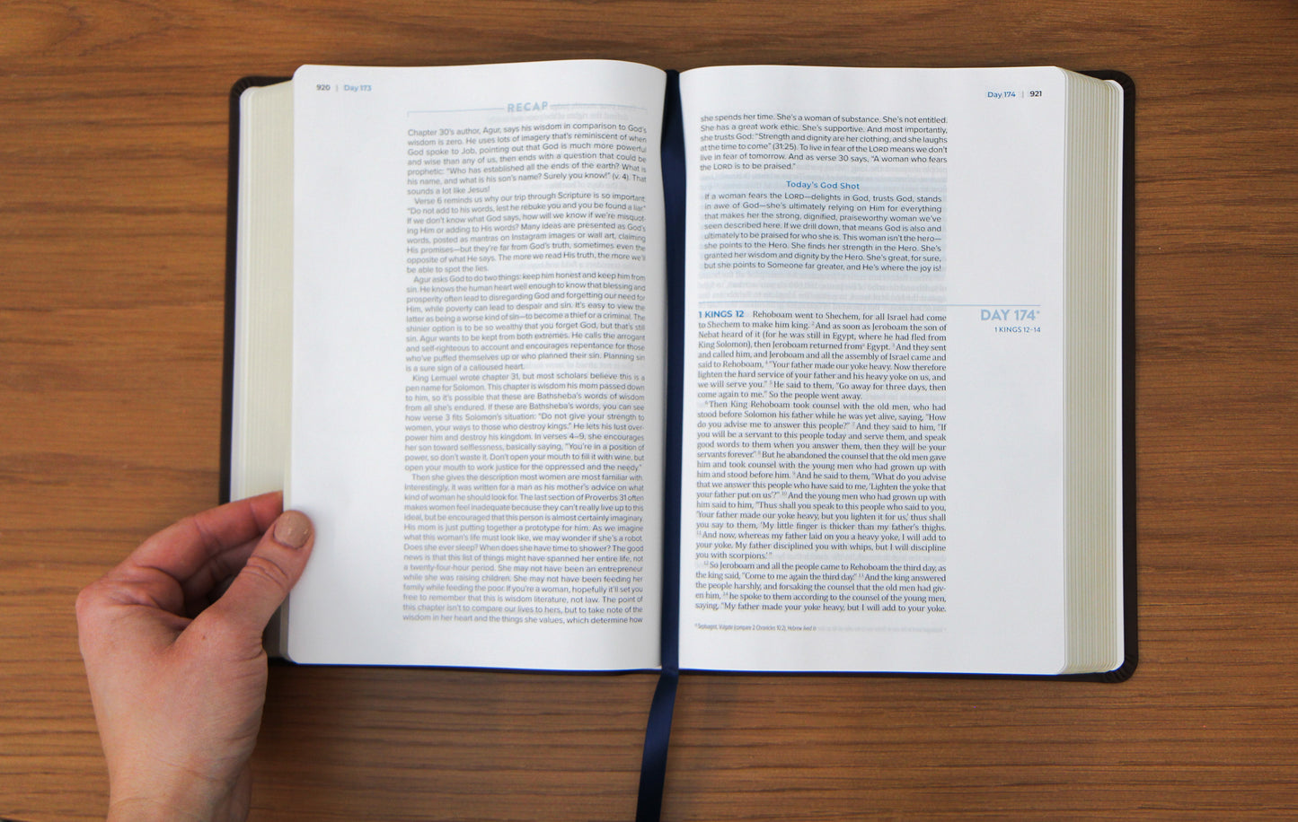 The Bible Recap 365-Day Chronological Study Bible - Brown Vegan Leather Softcover