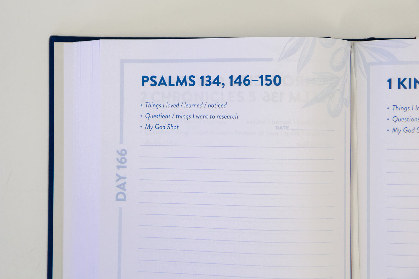 The Bible Recap: Deluxe Journal