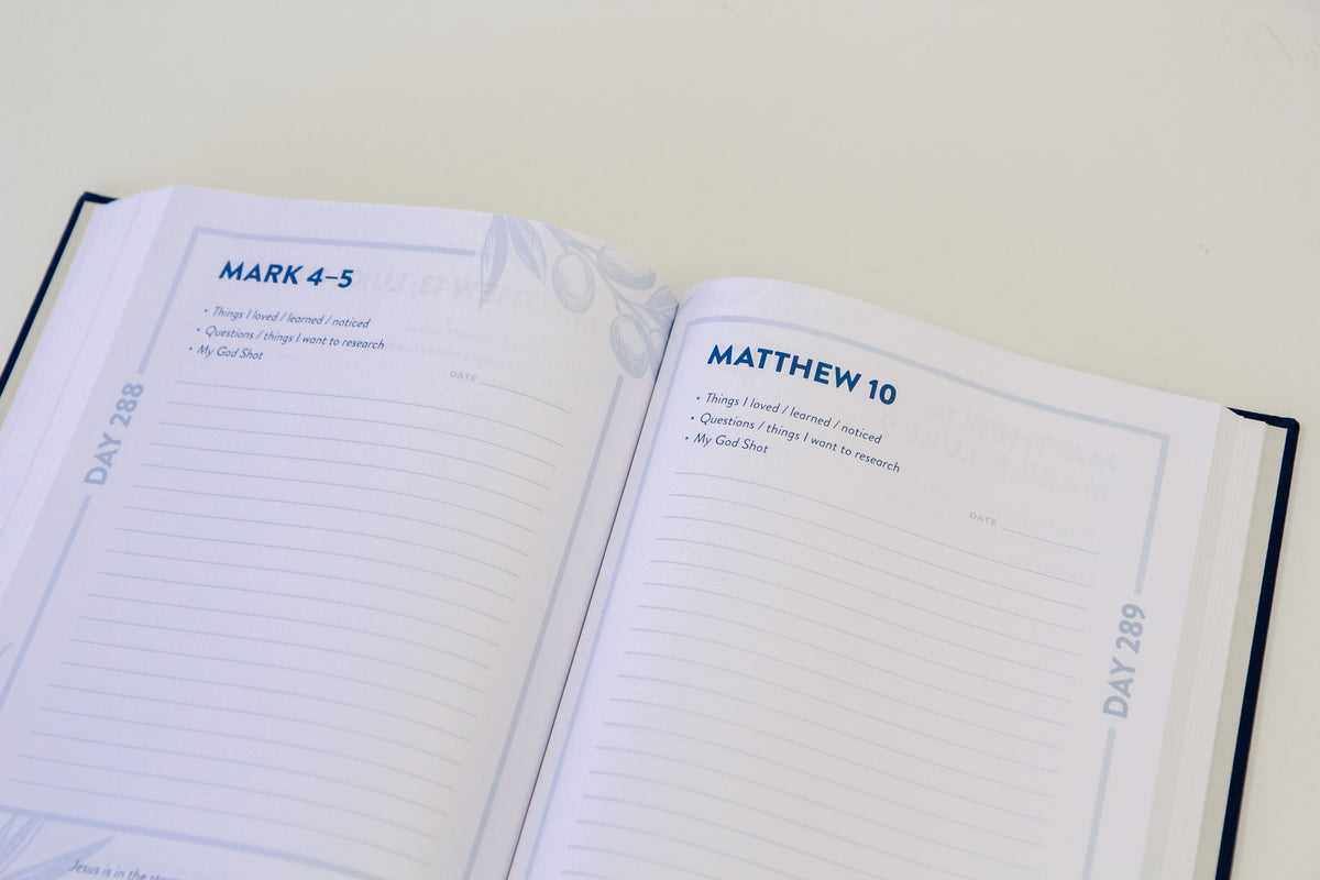 The Bible Recap: Deluxe Journal