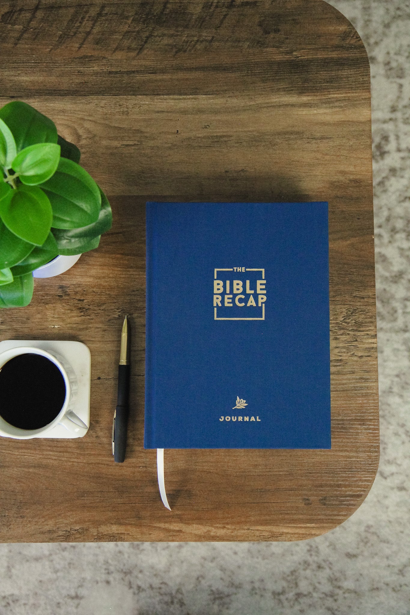 The Bible Recap: Deluxe Journal