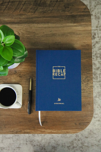 The Bible Recap: Deluxe Journal