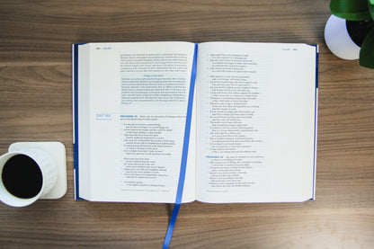 TBR 365-Day Chron Study Bible ESV - Large Print - Hardcover