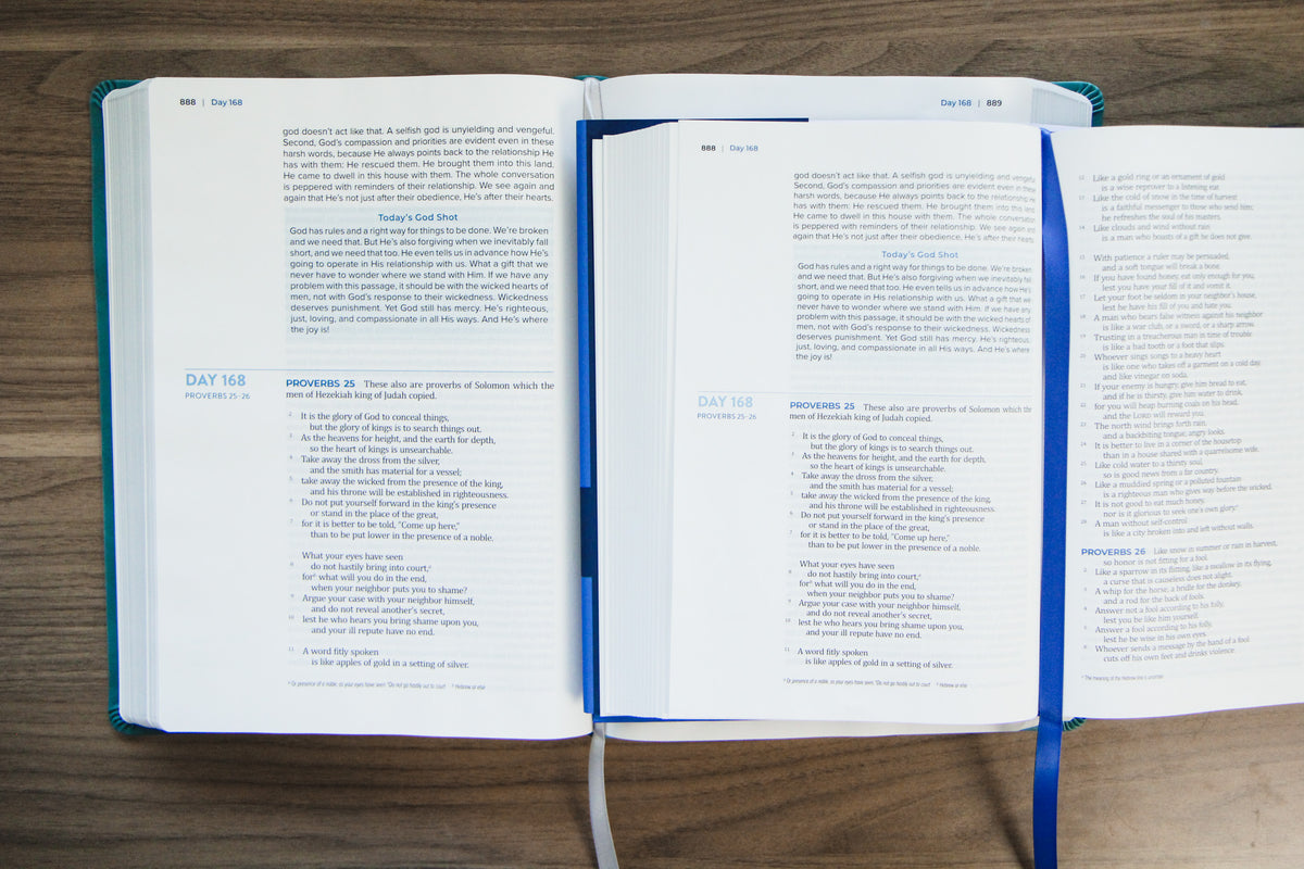 TBR 365-Day Chron Study Bible ESV - Large Print - Teal Vegan Leather