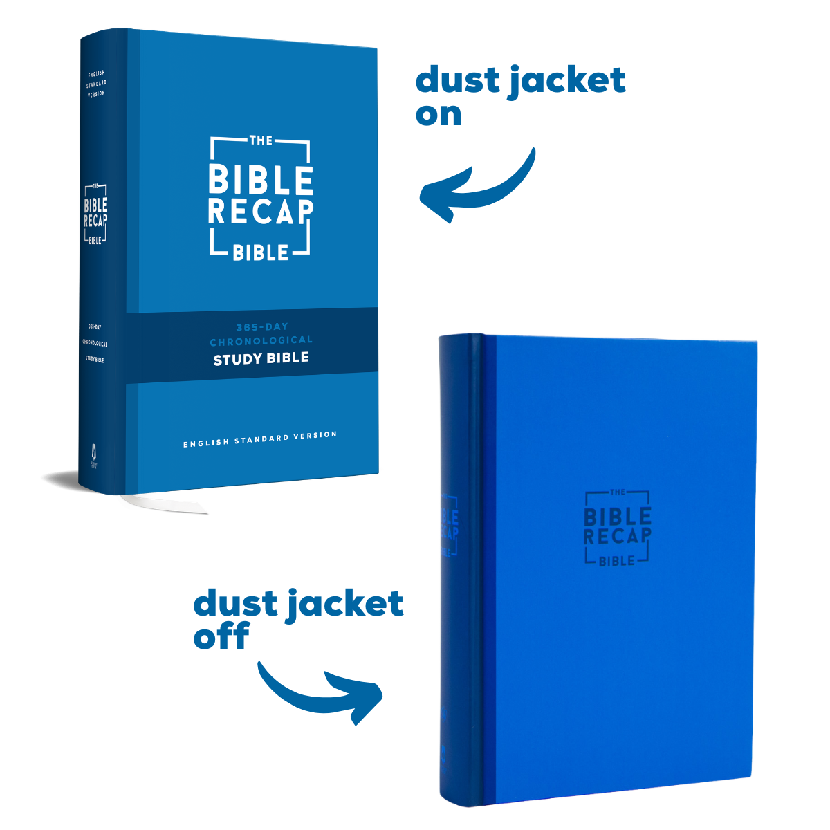 The Bible Recap 365-Day Chronological Study Bible - Hardcover