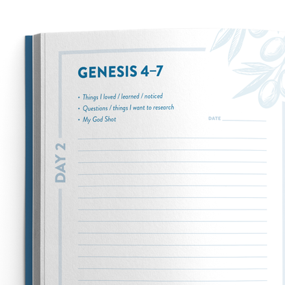 The Bible Recap: Deluxe Journal