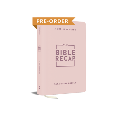 The Bible Recap: Personal Size - Pink