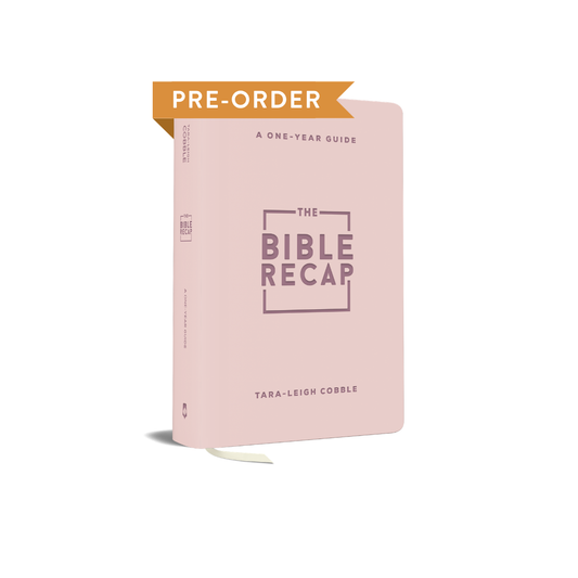 The Bible Recap: Personal Size - Pink