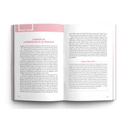 The Bible Recap: Personal Size - Pink