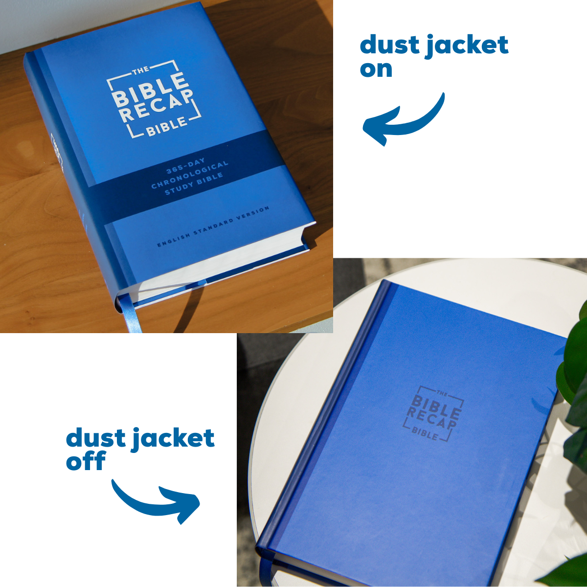 The Bible Recap 365-Day Chronological Study Bible - Hardcover